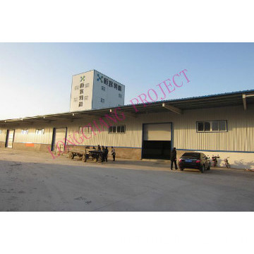 Animal Feed Manufacturing Plant